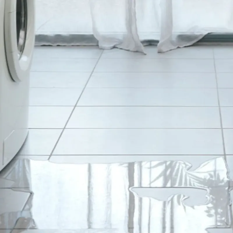 Appliance Leak Cleanup in Swansboro, NC