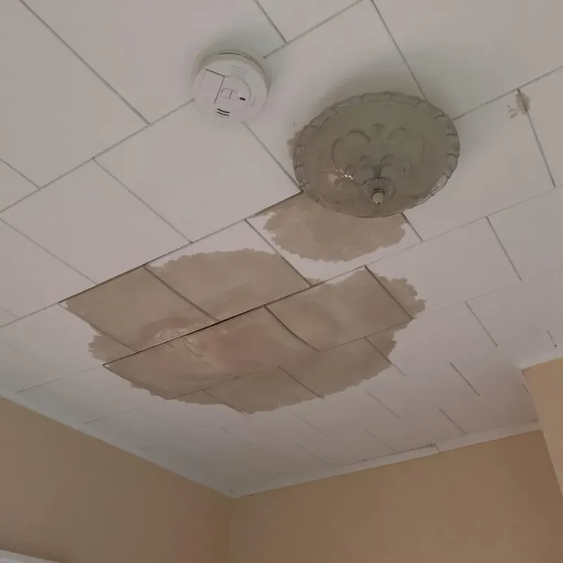Ceiling Water Damage Repair in Swansboro, NC