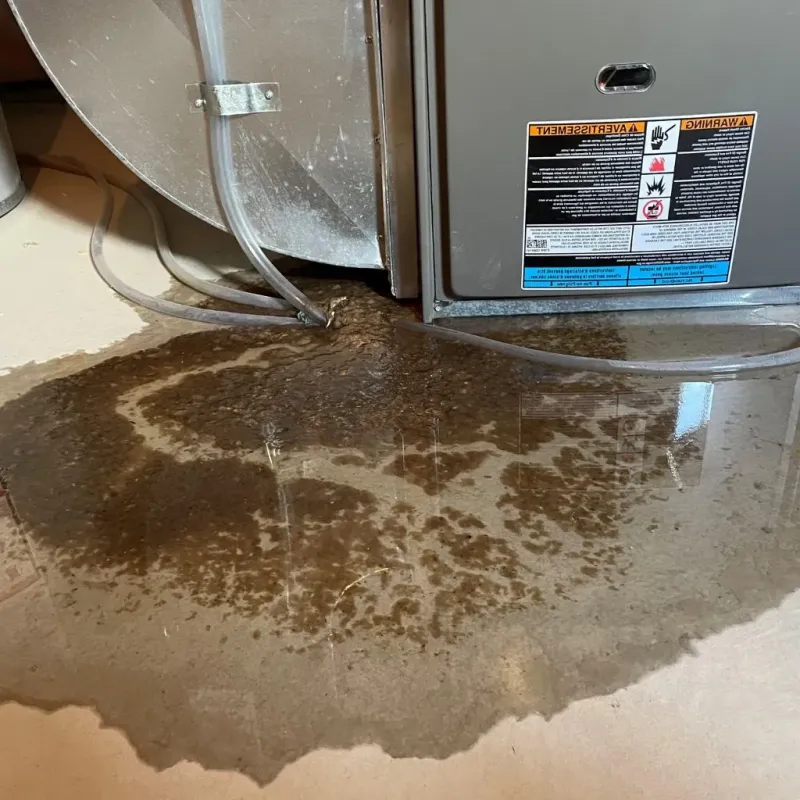 Pipe Burst and Leak Restoration in Swansboro, NC
