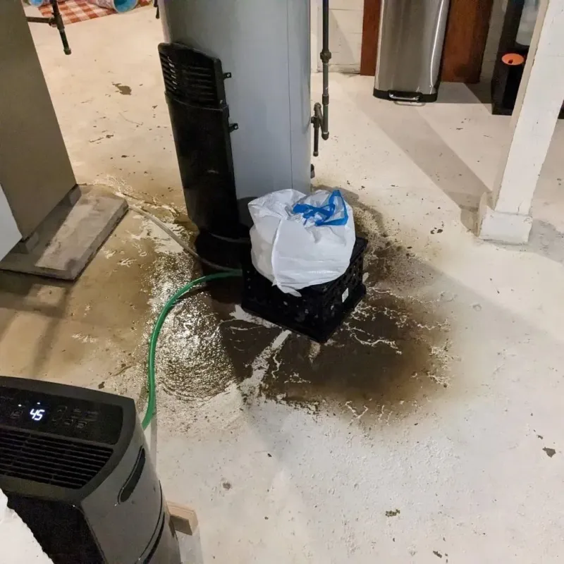 Sewage Backup Cleanup Service in Swansboro, NC